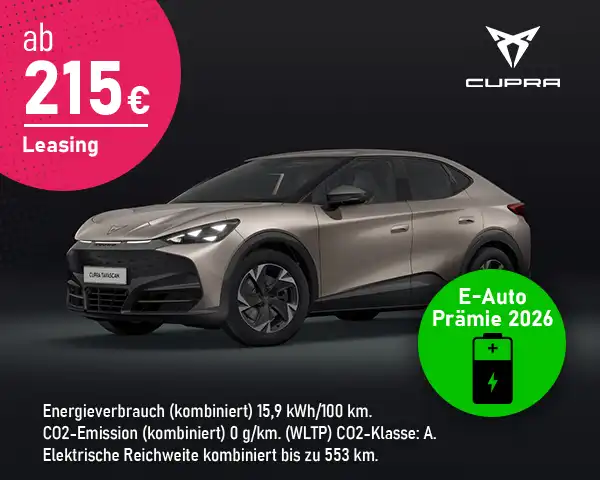 CUPRA Tavascan Endurance 210 kW (286 PS) 77 kWh